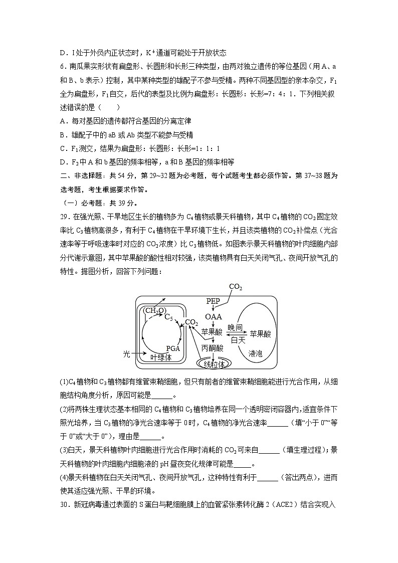 黄金卷02-【赢在高考·黄金8卷】备战2023年高考生物模拟卷（全国卷）（原卷版）第3页