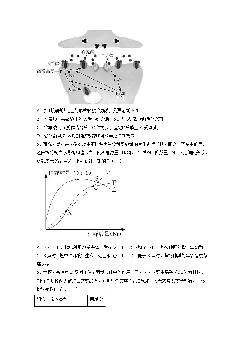 黄金卷06-【赢在高考·黄金8卷】备战2023年高考生物模拟卷（全国卷）（原卷版）第2页