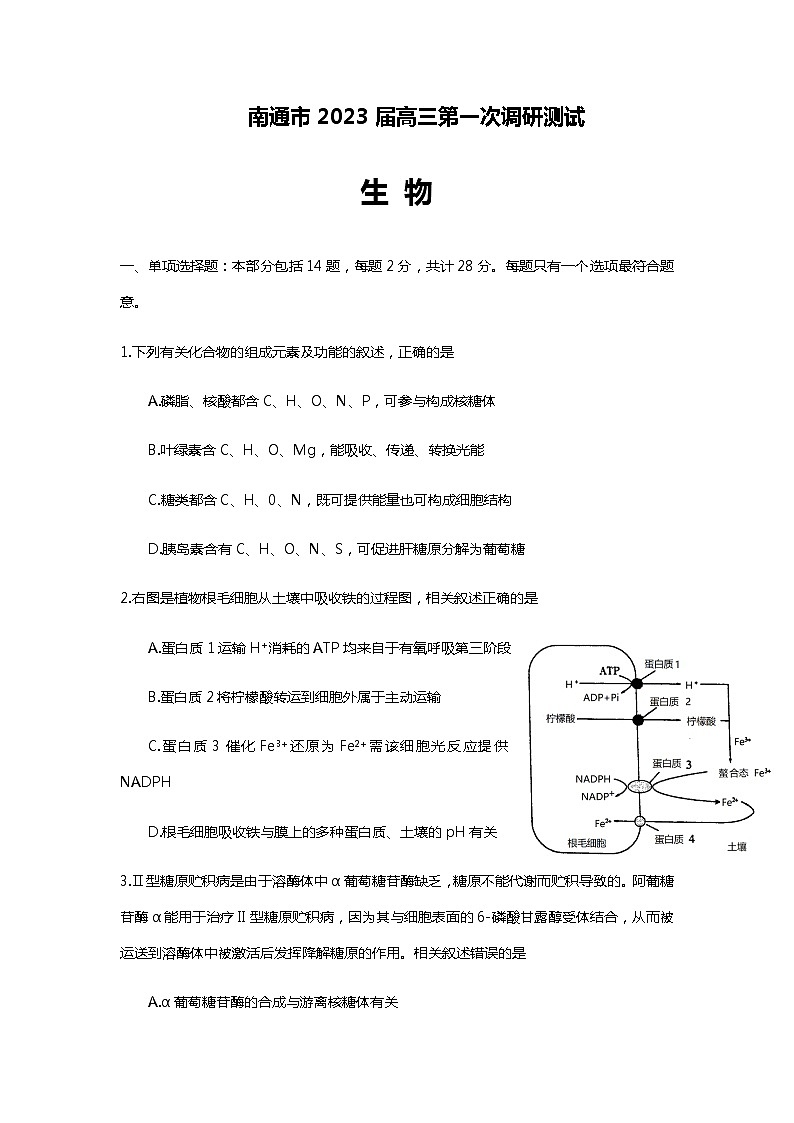 2023届江苏省南通市高三下学期2月第一次调研测试（一模）生物含答案01