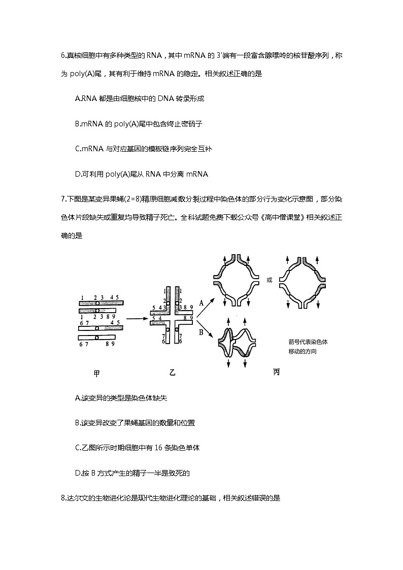 2023届江苏省南通市高三下学期2月第一次调研测试（一模）生物含答案03