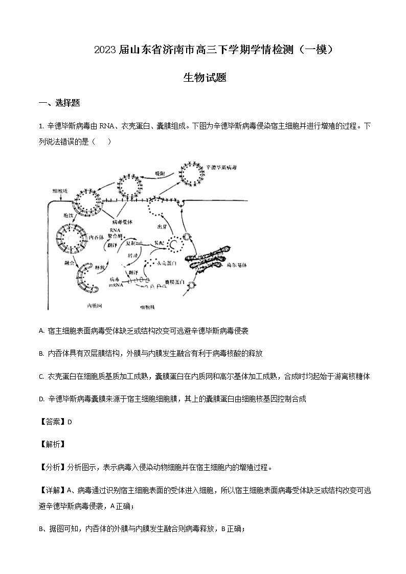 2023届山东省济南市高三下学期学情检测（一模）生物试题含解析01