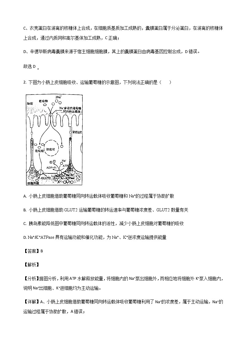 2023届山东省济南市高三下学期学情检测（一模）生物试题含解析02