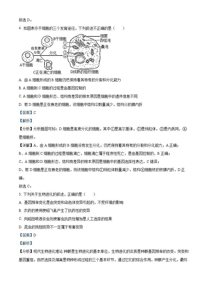 2022宁波三锋教研联盟高二下学期期中联考试题生物含解析03