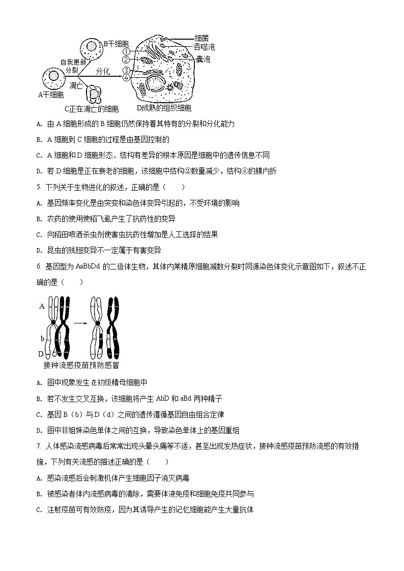 2022宁波三锋教研联盟高二下学期期中联考试题生物含解析02