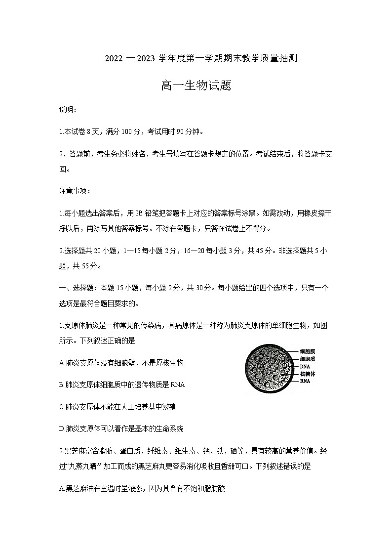 2022-2023学年山东省聊城市高一上学期期末质量抽测生物试题含答案第1页