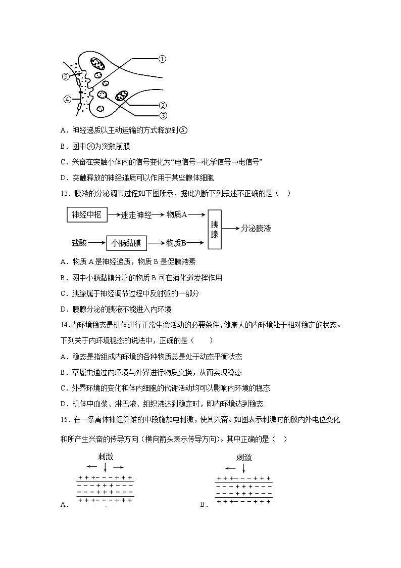 2022-2023学年黑龙江省鸡西市第四中学高二上学期第一次月考生物试题含答案第3页