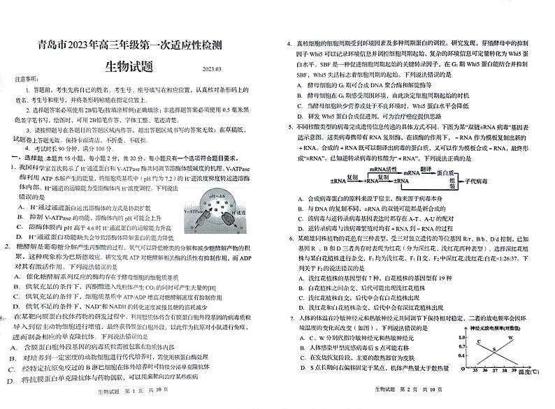 2023年青岛市高三一模生物试题含答案解析01