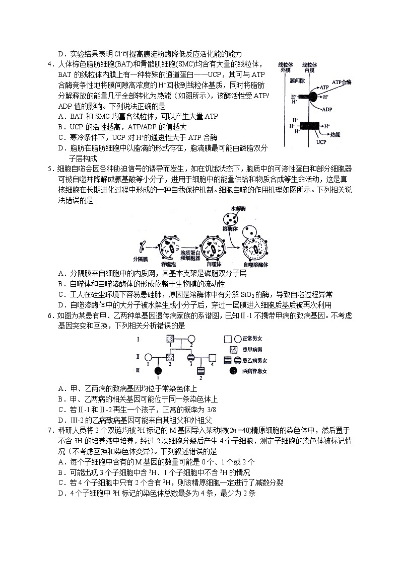 河北省衡水中学2022-2023学年高三下学期一调考试丨生物第2页