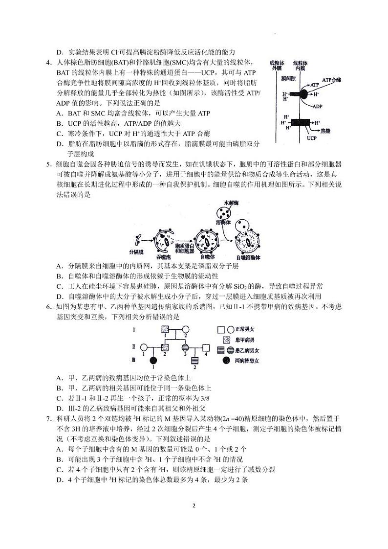 河北省衡水中学2022-2023学年高三下学期一调考试丨生物答案第2页