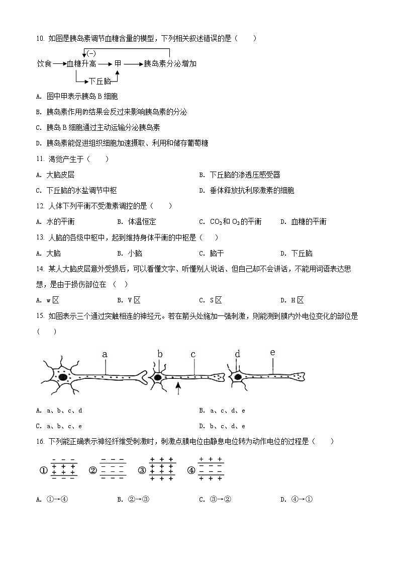 2022银川二中高二下学期期中考试生物（文）含解析02
