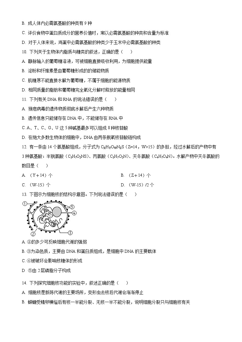 2023回族自治区银川一中高二上学期期中考试生物含解析03