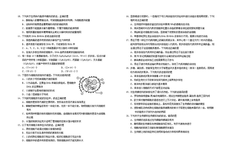 2023回族自治区银川一中高二上学期期中考试生物试题含答案02