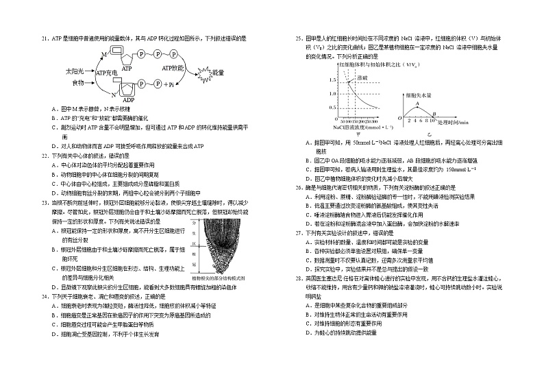 2023回族自治区银川一中高二上学期期中考试生物试题含答案03