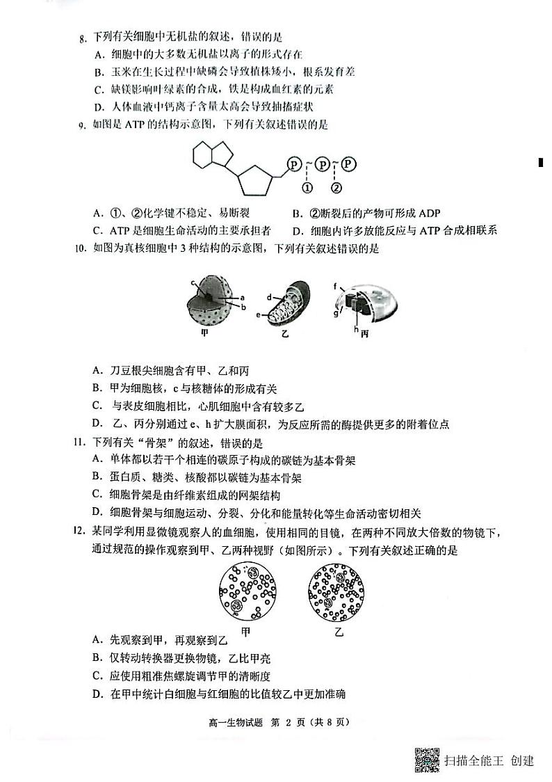 2023泉州高一上学期期末试题生物PDF版无答案02