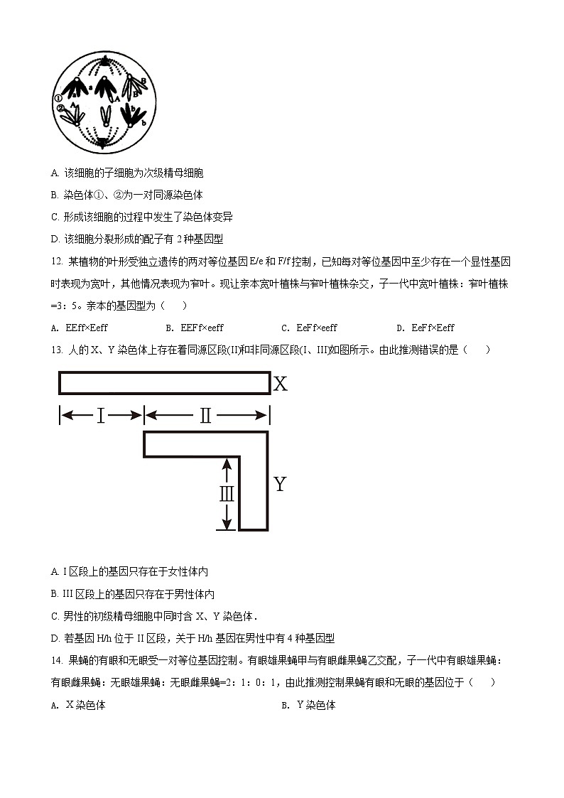 内蒙古自治区阿拉善盟一中2021-2022学年高一下学期期末生物试题无答案第3页