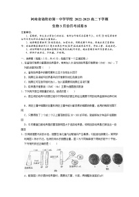 河南省洛阳市第一高级中学2022-2023学年高二生物下学期3月月考试题（B卷）（Word版附答案）