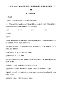 2022-2023学年陕西省渭南市大荔县高二上学期期末生物试题含解析