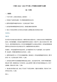 2022-2023学年湖北省十堰市高二上学期期末调研考试生物试题含解析