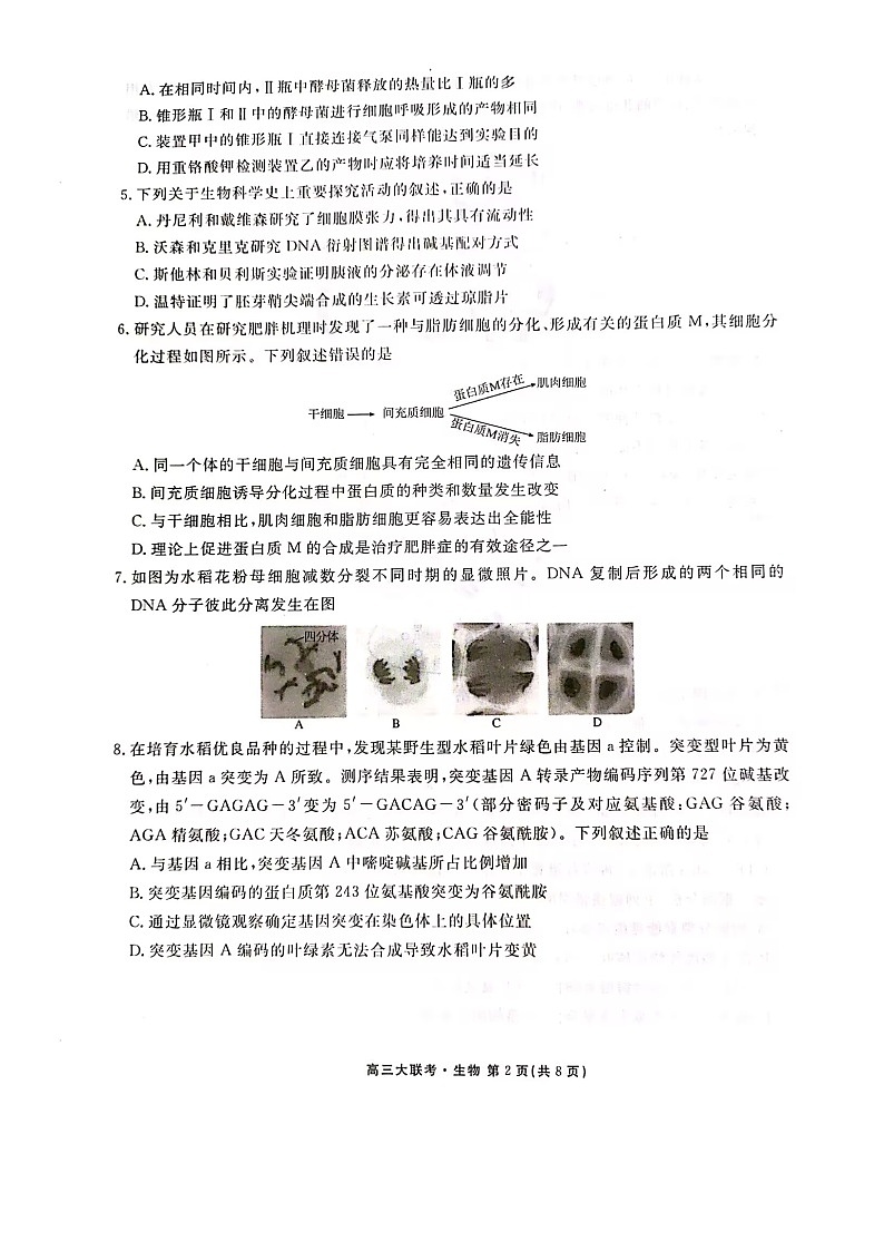 广东省衡水金卷2022-2023学年高三下学期3月大联考试题生物试卷第2页