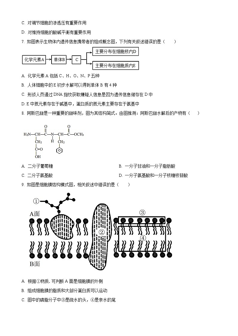 2023高一上学期期末生物试题含解析02