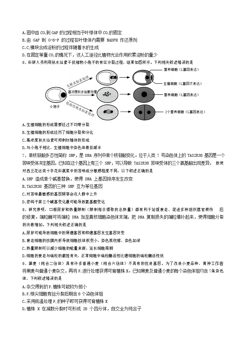 浙江省杭州第二中学2022-2023学年高三生物下学期3月月考试题（Word版附答案）第2页