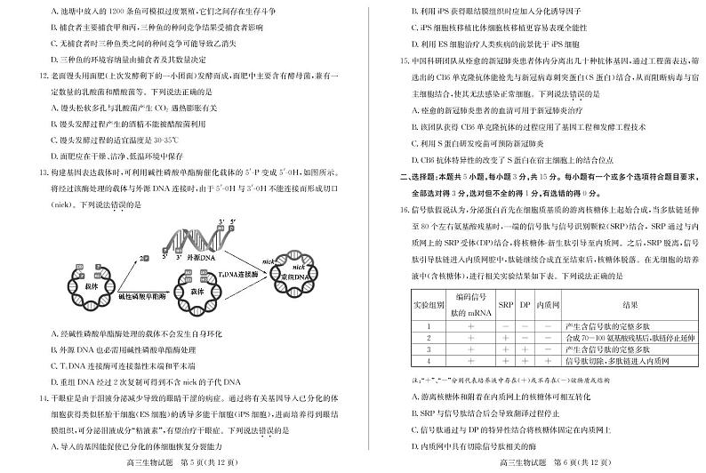 2021届山东省滨州市高三下学期3月一模生物试题 PDF版03