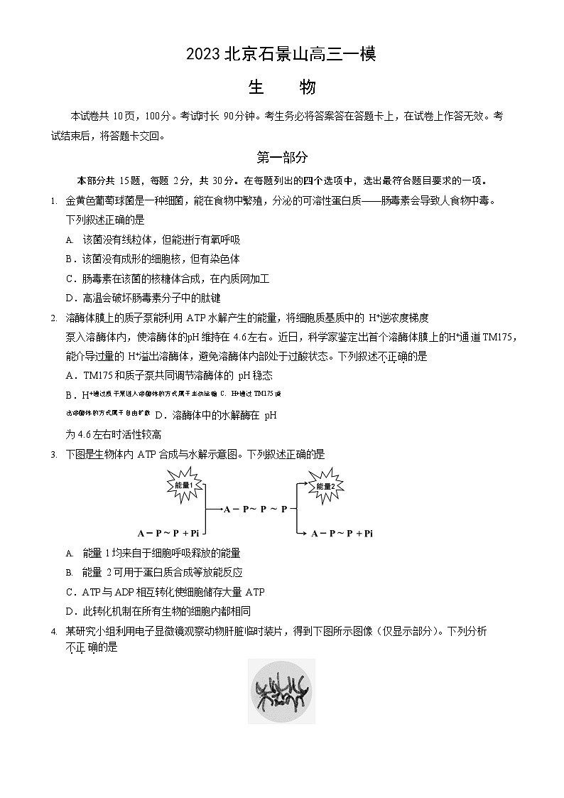 2023年北京石景山区高三一模生物试题及答案解析第1页