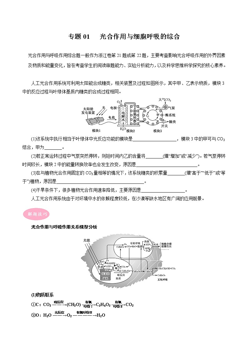 专题01 光合作用与细胞呼吸的综合——【备考2023】高考生物大题精练 （浙江专用）（原卷版）第1页