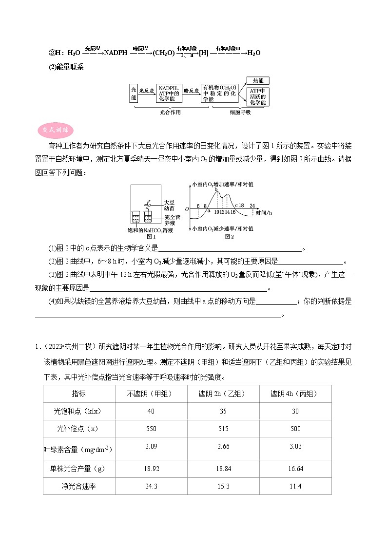 专题01 光合作用与细胞呼吸的综合——【备考2023】高考生物大题精练 （浙江专用）（原卷版）第2页