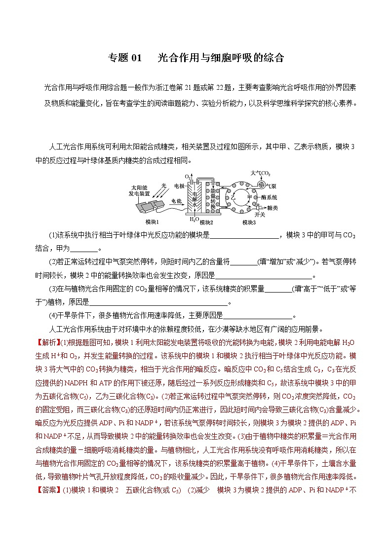 专题01 光合作用与细胞呼吸的综合——【备考2023】高考生物大题精练 （浙江专用）（解析版）第1页