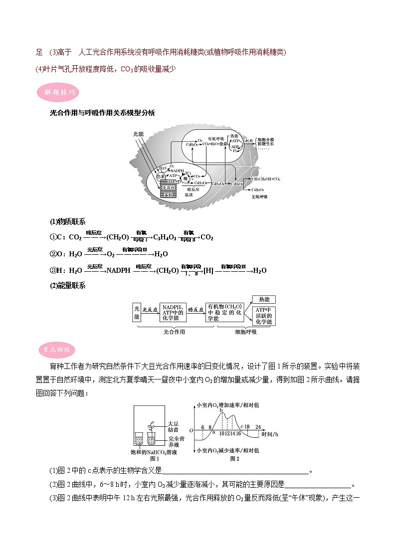 专题01 光合作用与细胞呼吸的综合——【备考2023】高考生物大题精练 （浙江专用）（解析版）第2页