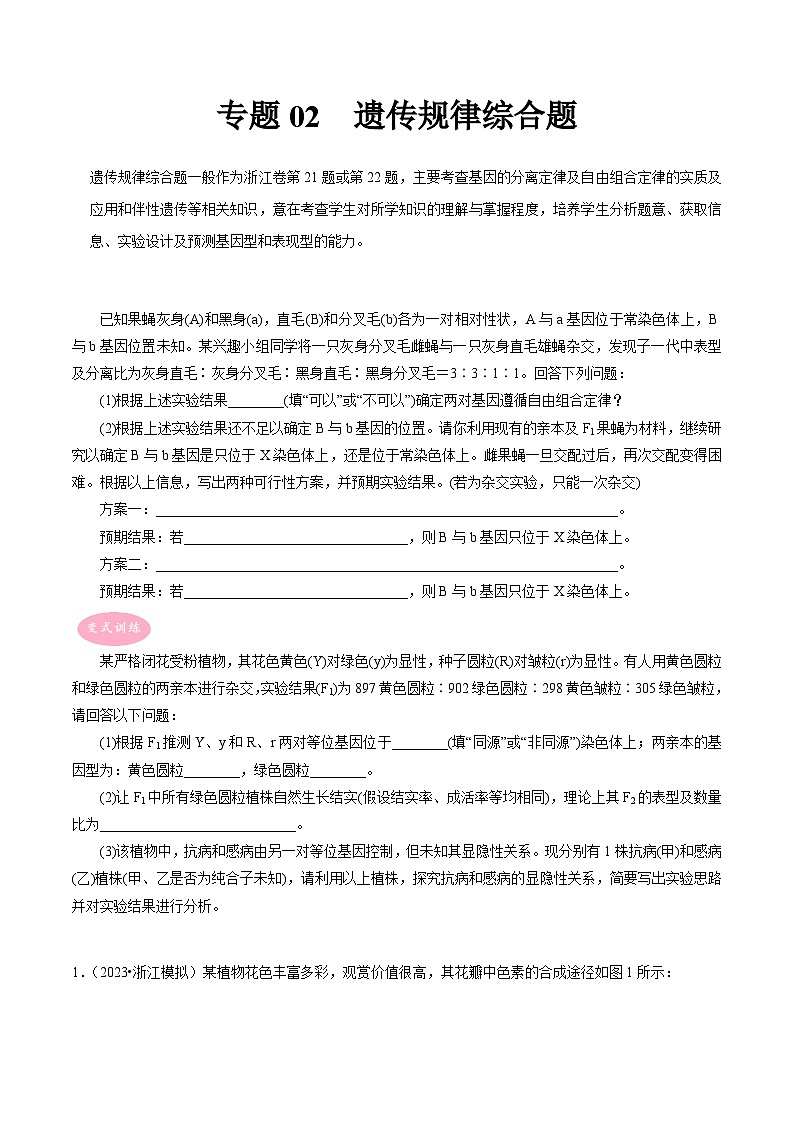 专题02 遗传规律综合题——【备考2023】高考生物大题精练 （浙江专用）（原卷版）第1页