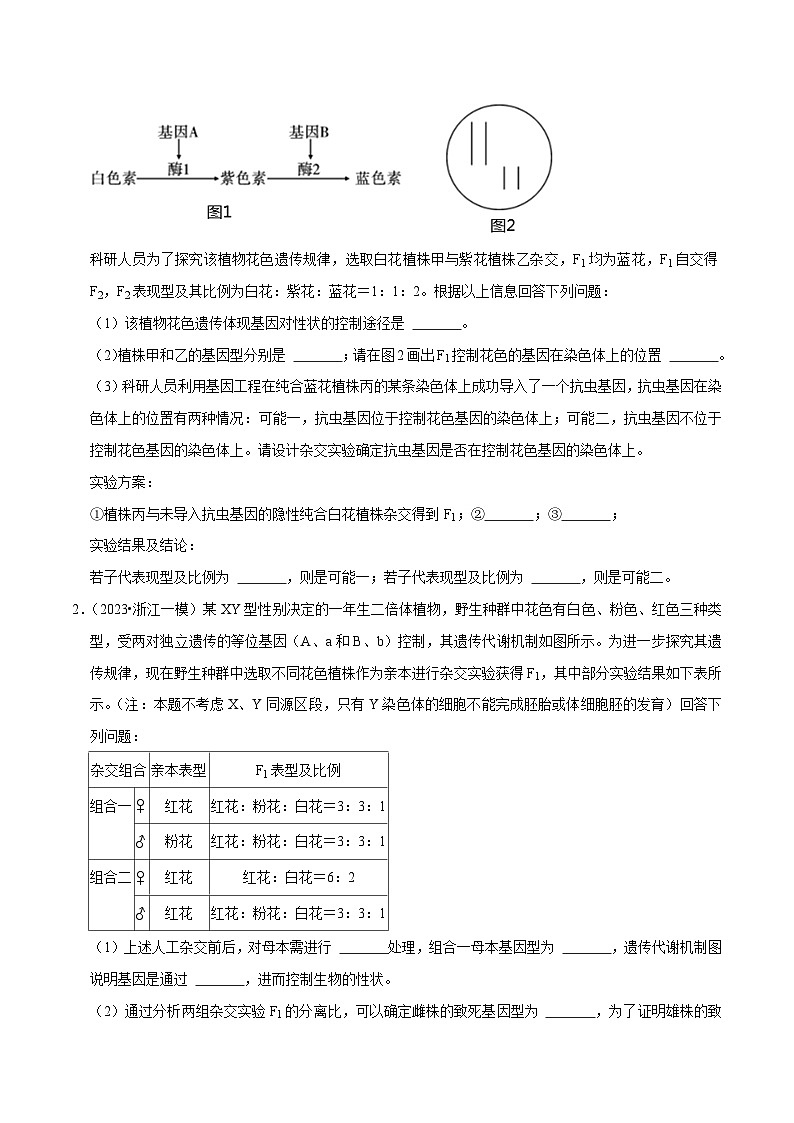 专题02 遗传规律综合题——【备考2023】高考生物大题精练 （浙江专用）（原卷版）第2页