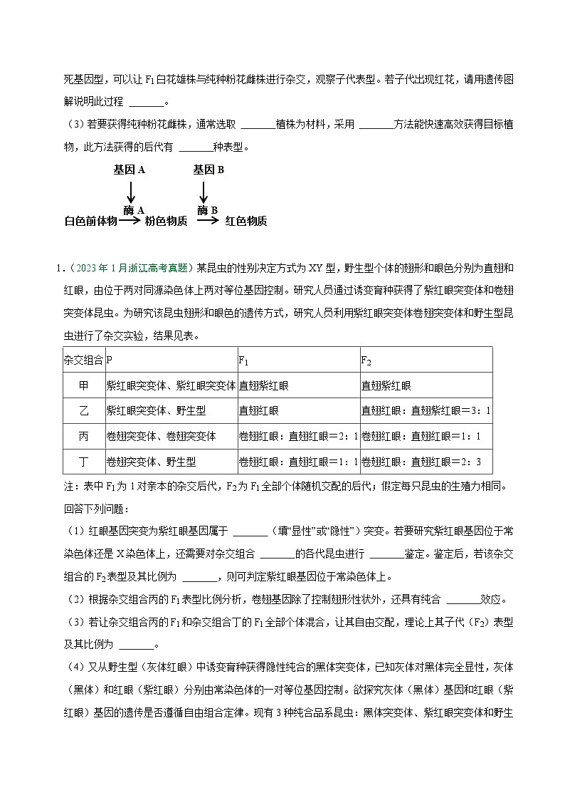 专题02 遗传规律综合题——【备考2023】高考生物大题精练 （浙江专用）（原卷版）第3页