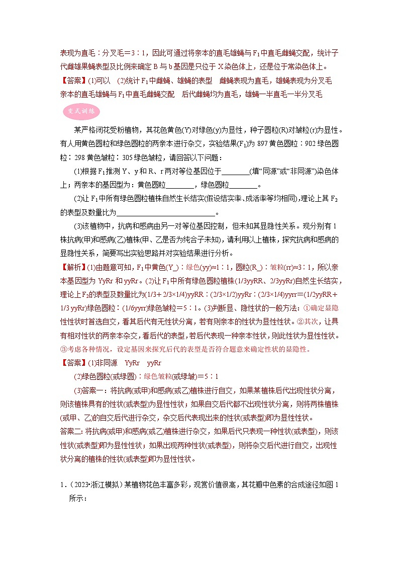 专题02 遗传规律综合题——【备考2023】高考生物大题精练 （浙江专用）（解析版）第2页