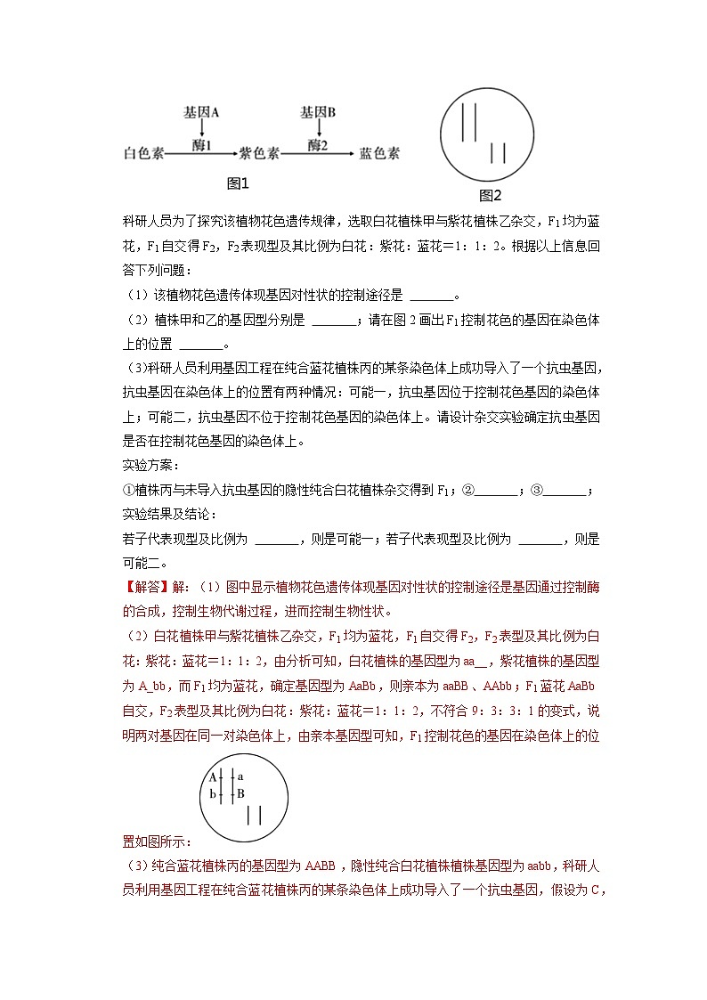专题02 遗传规律综合题——【备考2023】高考生物大题精练 （浙江专用）（解析版）第3页