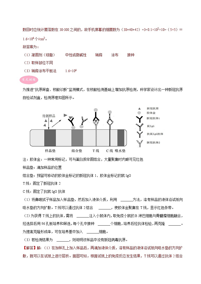 专题04 生物技术实践与现代生物科技专题——【备考2023】高考生物大题精练 （浙江专用）（解析版）第2页