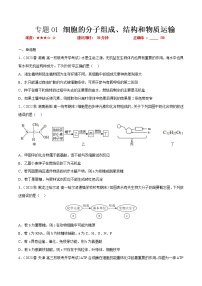 专题卷01 细胞的分子组成、结构和物质运输——【备考2023】高考生物小题集训（新高考专用）（原卷版+解析版）