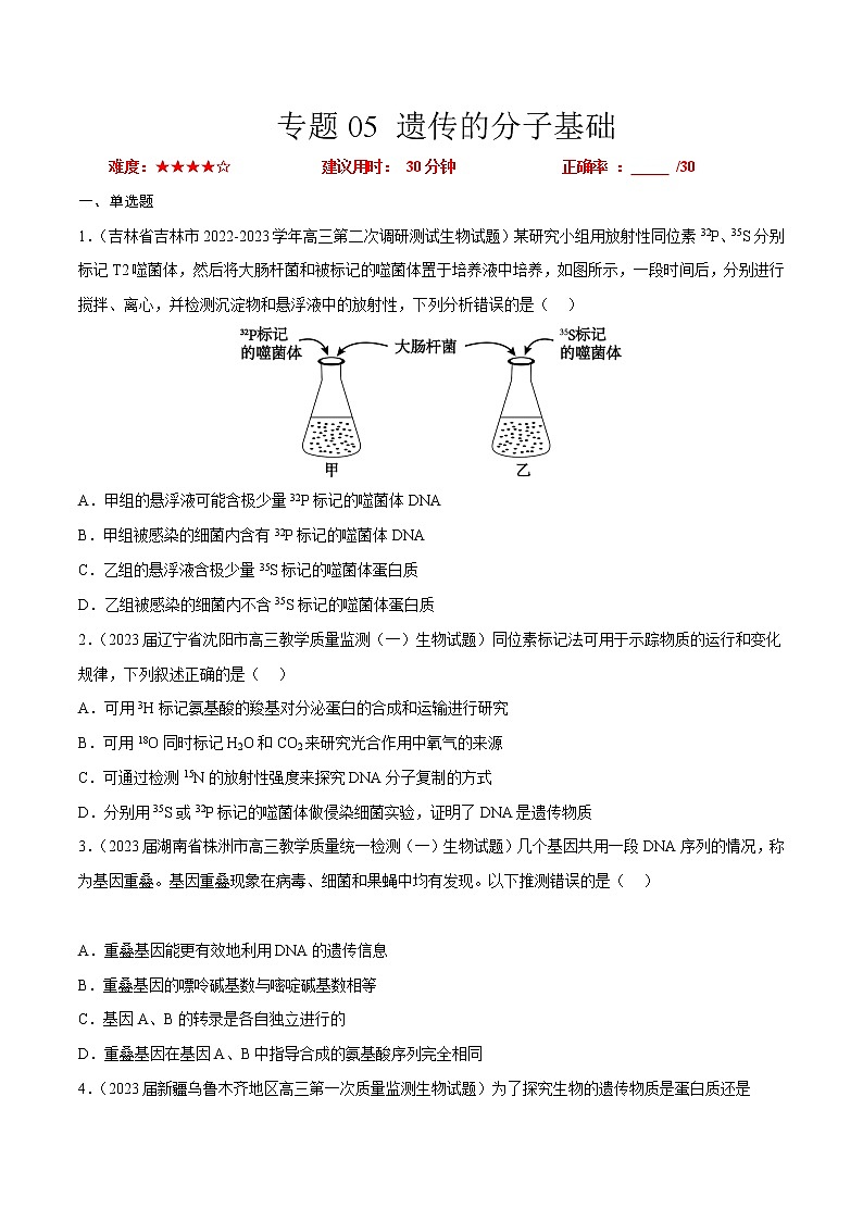 专题卷05 遗传的分子基础——【备考2023】高考生物小题集训（新高考专用）（原卷版）第1页