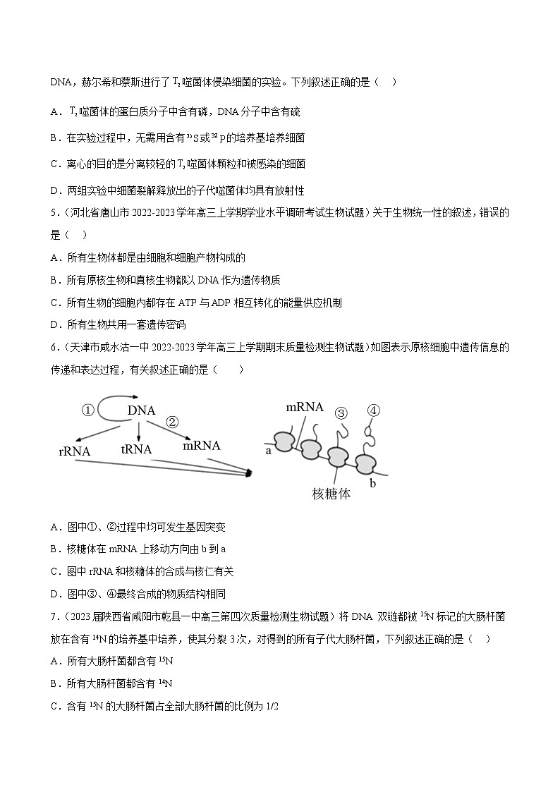 专题卷05 遗传的分子基础——【备考2023】高考生物小题集训（新高考专用）（原卷版）第2页