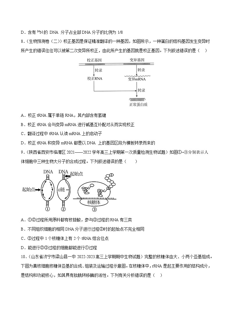 专题卷05 遗传的分子基础——【备考2023】高考生物小题集训（新高考专用）（原卷版）第3页