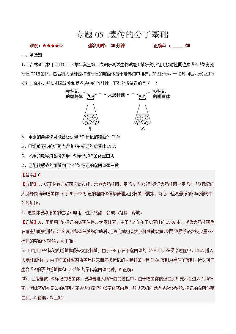 专题卷05 遗传的分子基础——【备考2023】高考生物小题集训（新高考专用）（解析版）第1页