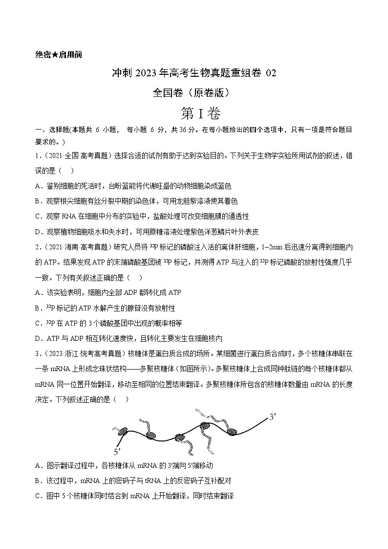 卷01——【备考2023】高考生物真题重组卷（全国卷）（含解析）01