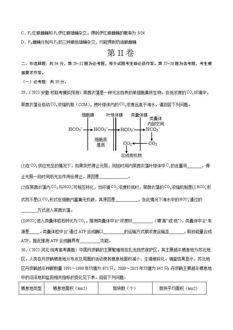 卷01——【备考2023】高考生物真题重组卷（全国卷）（含解析）03
