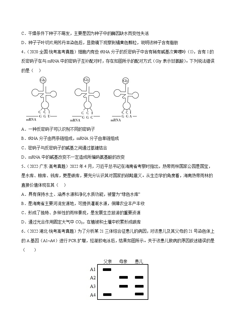 卷03——【备考2023】高考生物真题重组卷（全国卷）（含解析）02