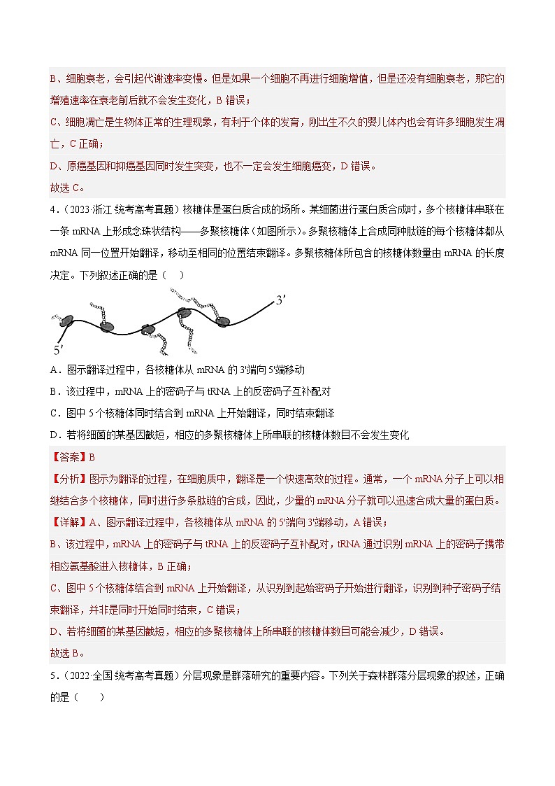 卷05——【备考2023】高考生物真题重组卷（全国卷）（含解析）03