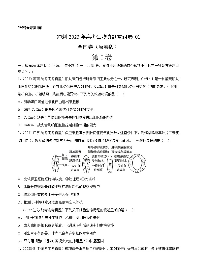 卷05——【备考2023】高考生物真题重组卷（全国卷）（含解析）01