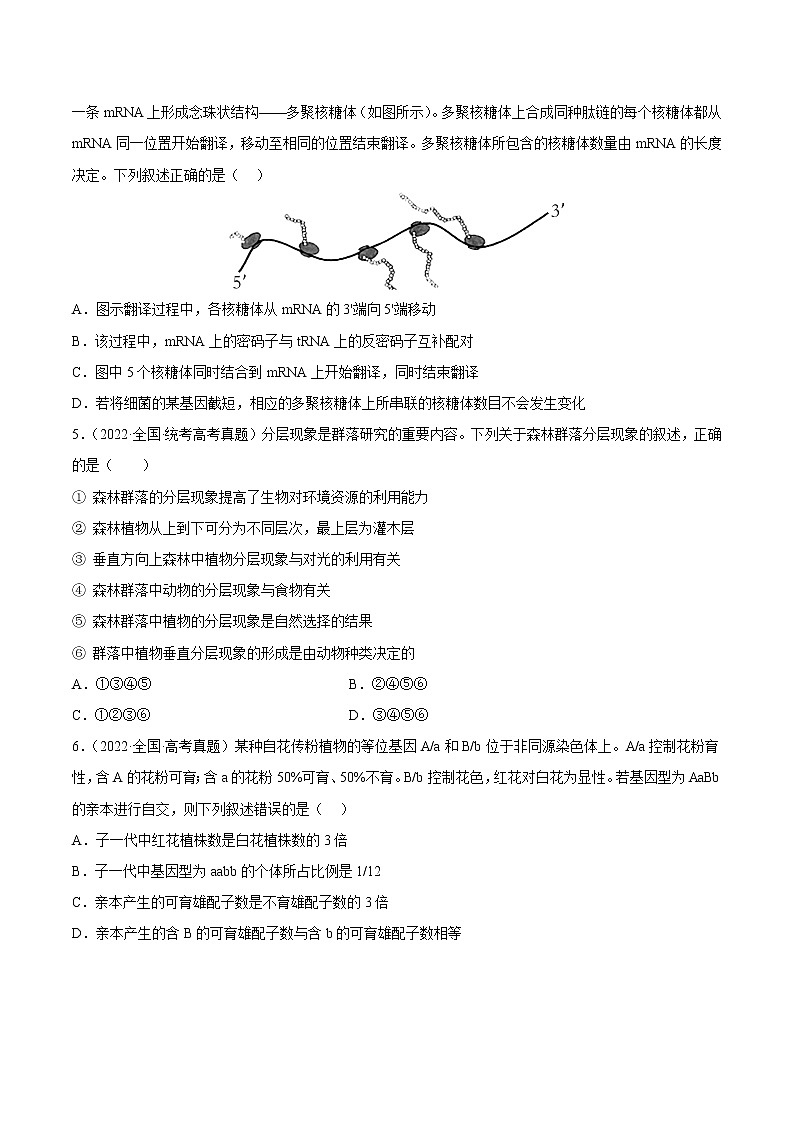 卷05——【备考2023】高考生物真题重组卷（全国卷）（含解析）02