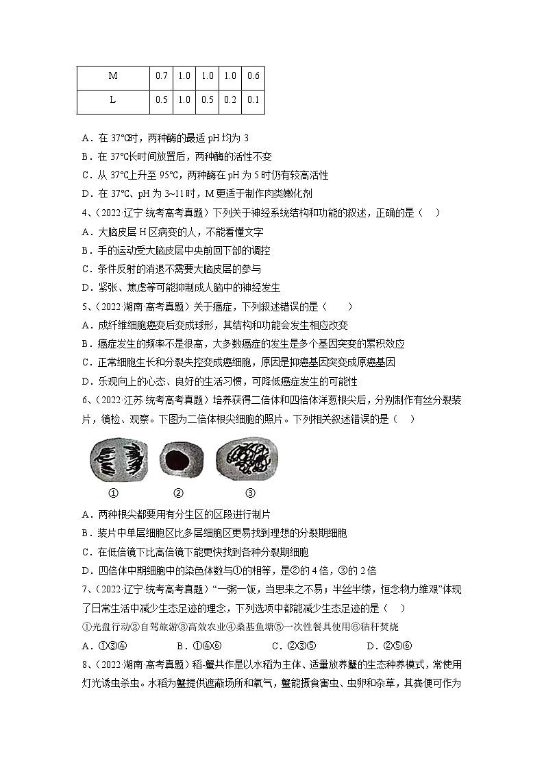 卷04——【备考2023】高考生物真题重组卷（湖南专用）（含解析）02