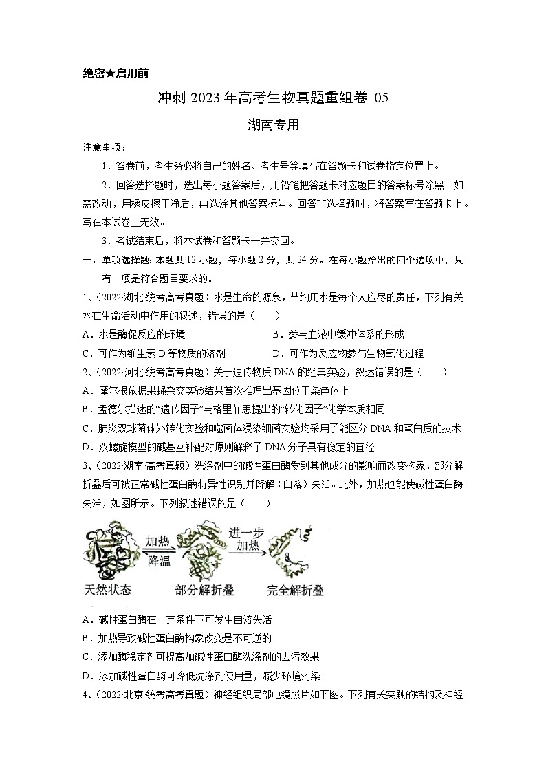 卷05——【备考2023】高考生物真题重组卷（湖南专用）（含解析）01